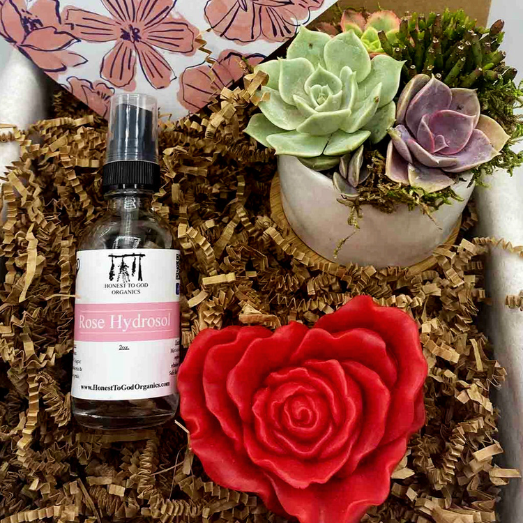 succulent gift box | valentine's day gift | aSucca4U