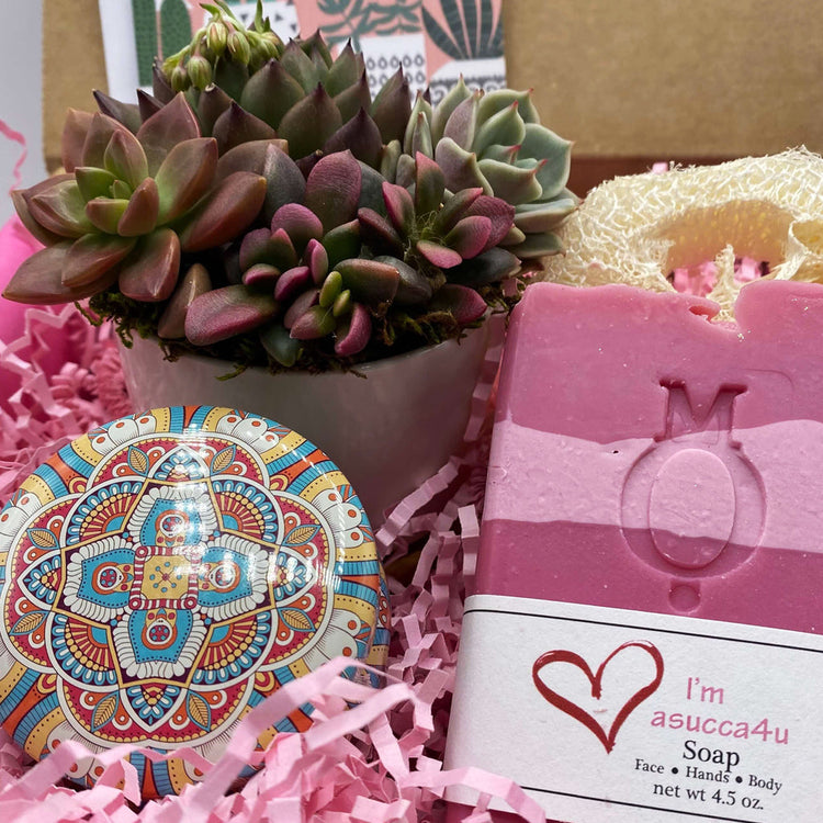 succulent gift boxes | mother's day gifts | aSucca4U