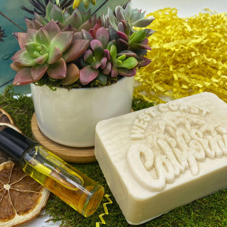 succulent gift boxes | aSucca4U
