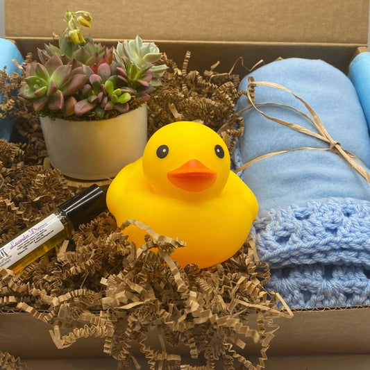 Baby Boy Succulent Gift Box | aSucca4U