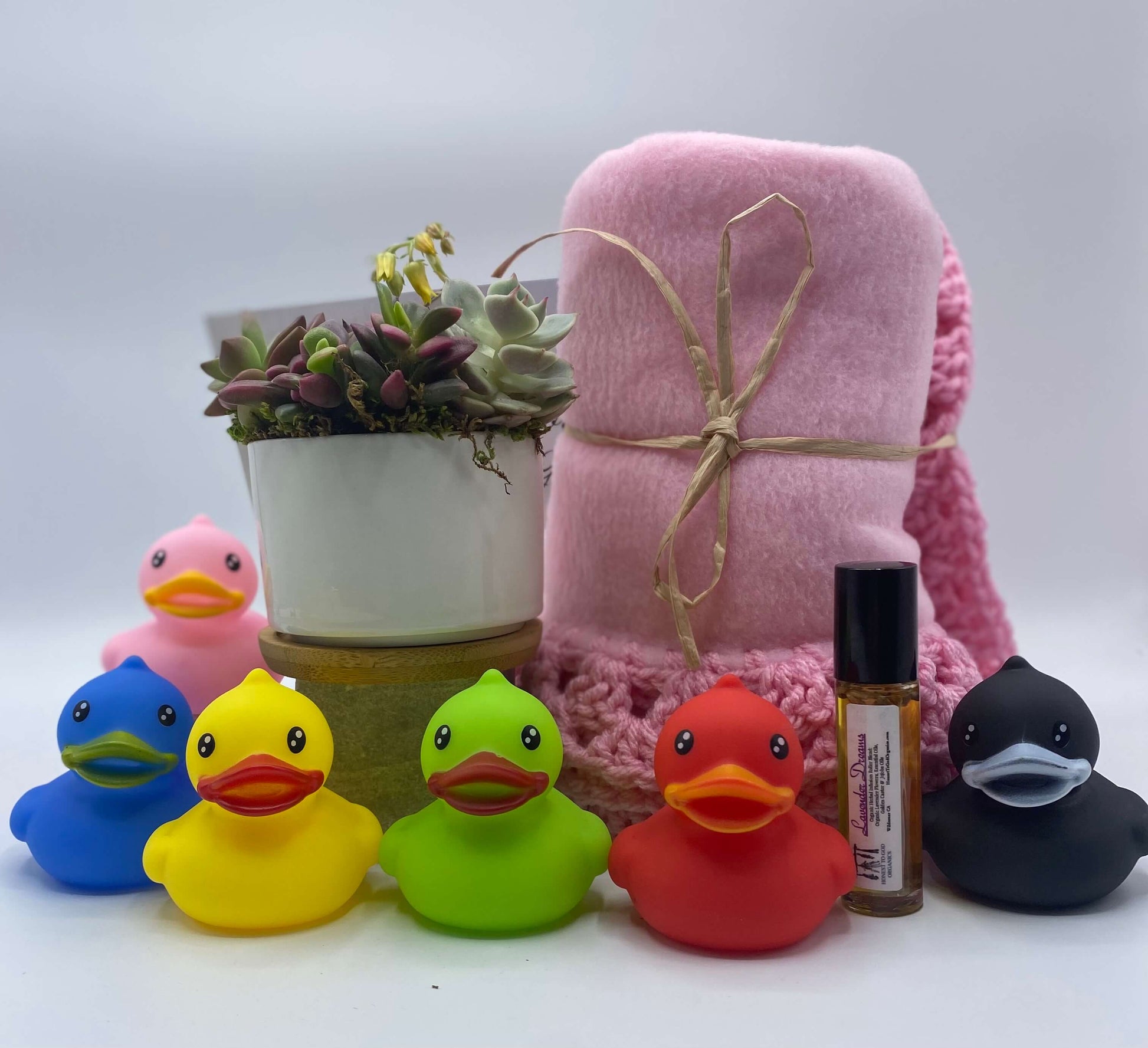 Baby Girl Succulent Gift Box details | aSucca4U
