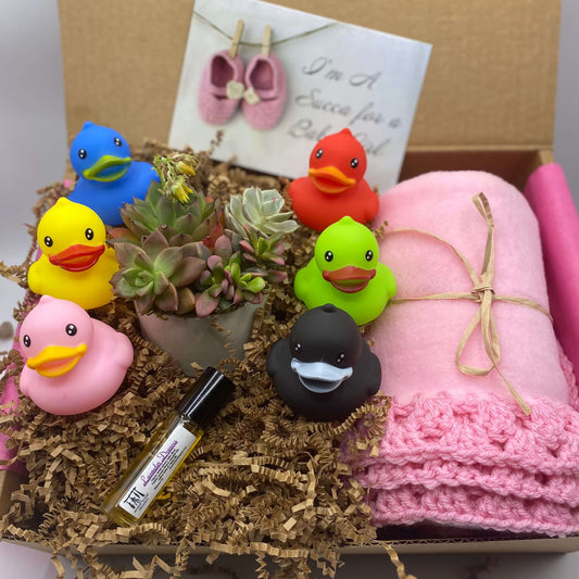 Baby Girl Succulent Gift Box | aSucca4U