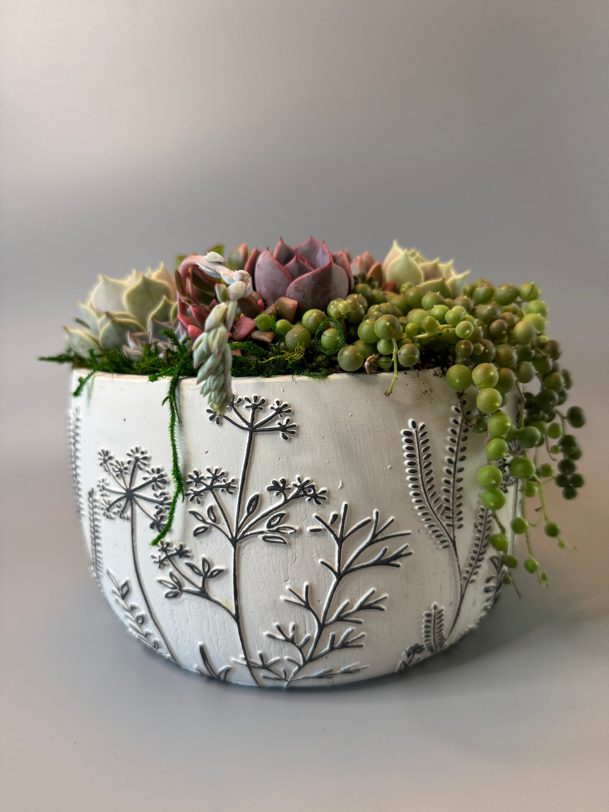 Desert Breeze Round Succulent Arrangement | view 3 | ASucca4U