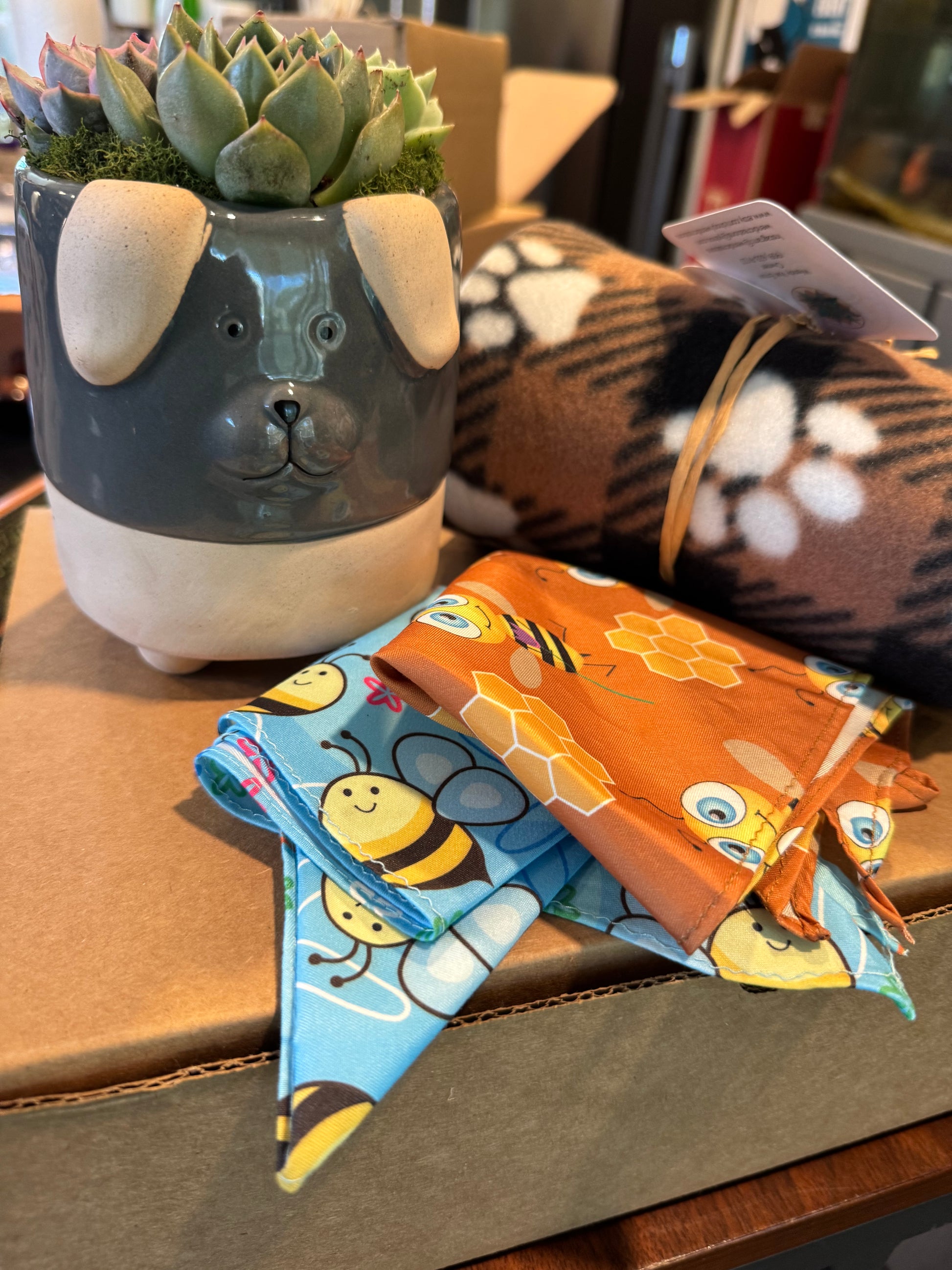 Fur Baby Gift Box | View 1 | ASucca4U