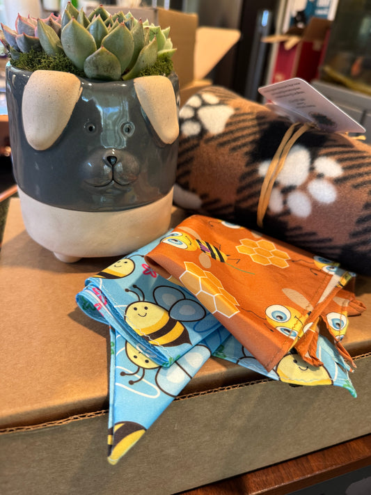 Fur Baby Gift Box | View 1 | ASucca4U
