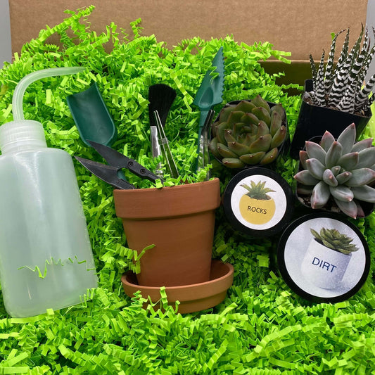 Plant Your Own Succulents Gift Box Kit for Kids