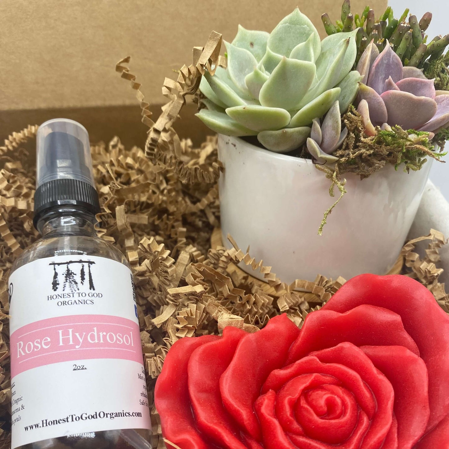 Rosie the Succulent Gift Box