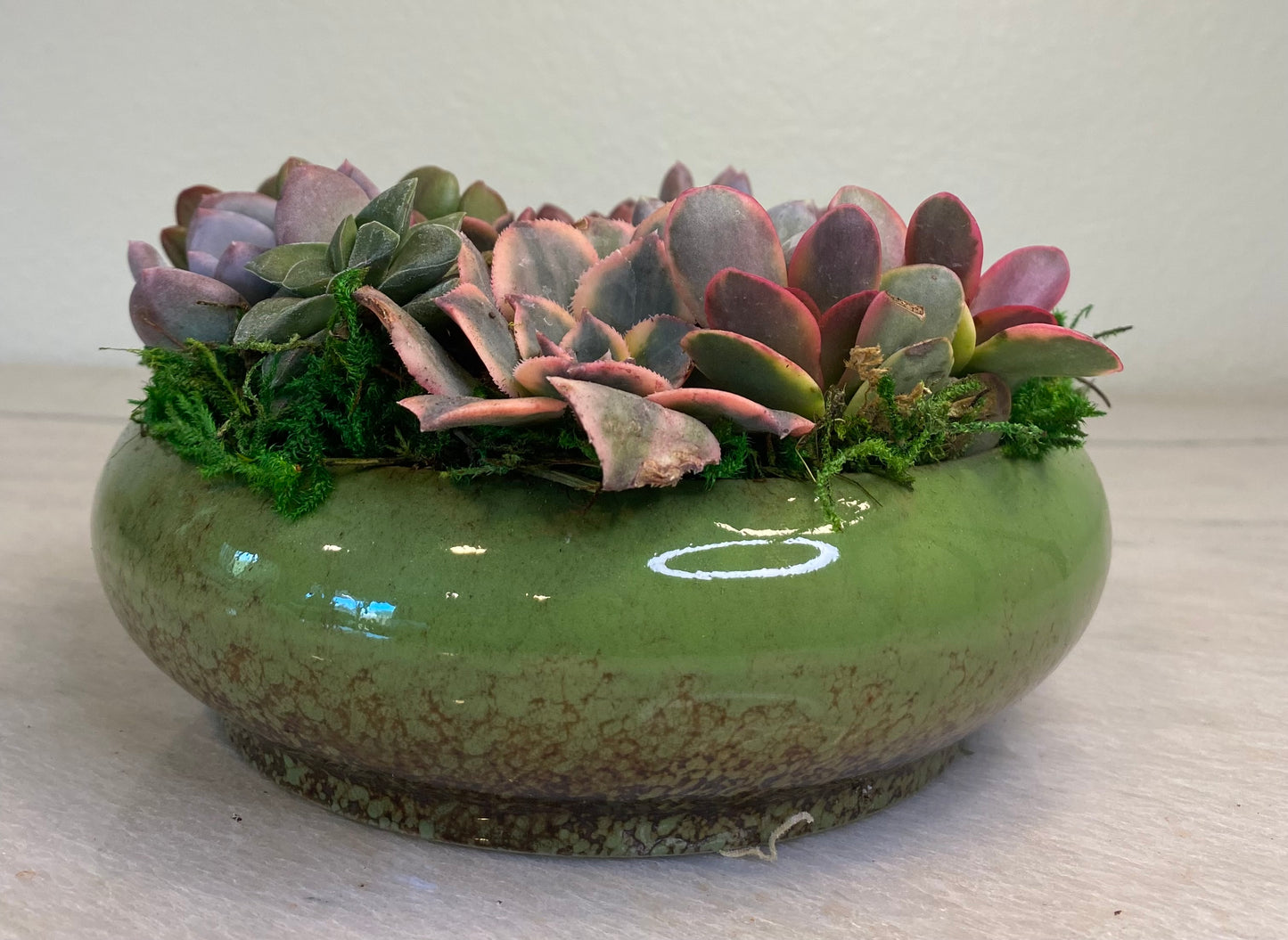 Serenity Succulent Arrangement Side View