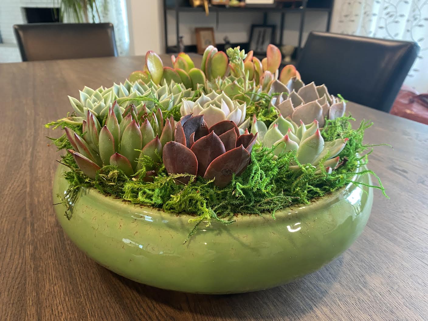 Serenity Succulent Arrangement Side View Alt