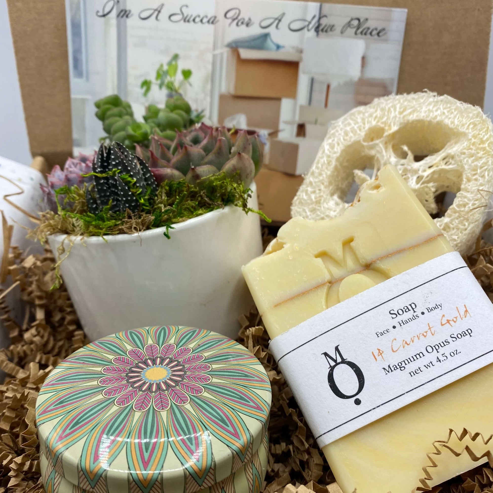Welcome Home Succulent Gift Box | aSucca4U