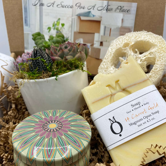 Welcome Home Succulent Gift Box | aSucca4U