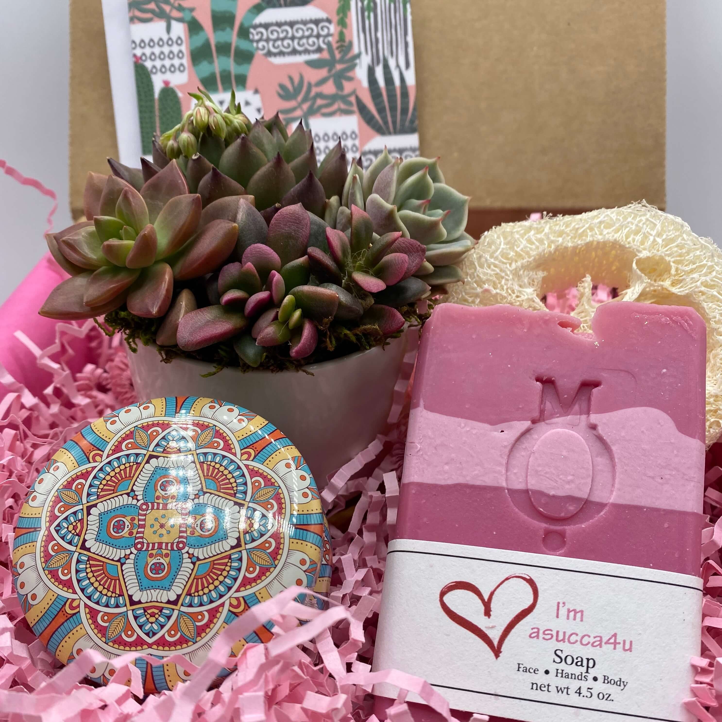 Best Mom Ever, Gift For Mother, Mother's Day Gift, Live Succulents, Ha –  Plant Box Co