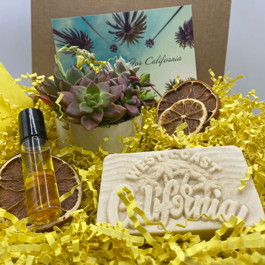 Succulent Gift Boxes in Menifee, Temecula & San Diego