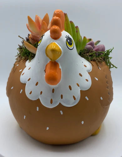 How to choose the right planter-Chicken Succulent Planter