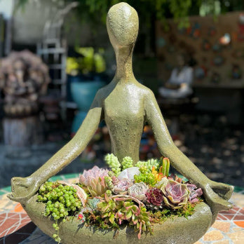 Succulent Arrangements in San Diego