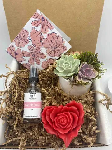 succulent gift boxes