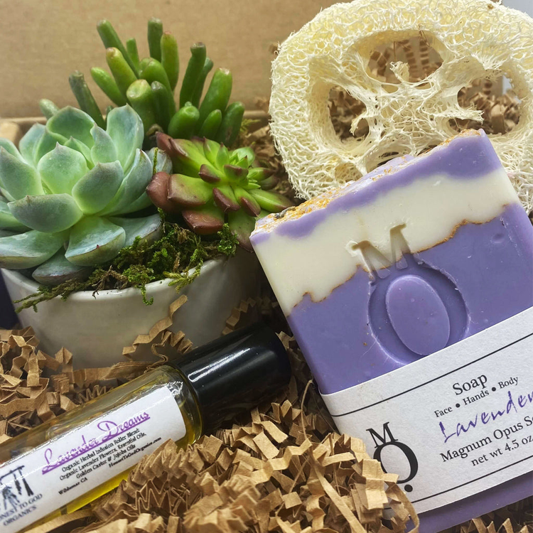 Get Well Succulent Gift Boxes | aSucca4U