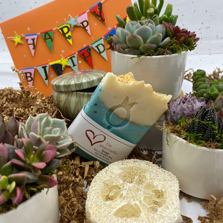 succulent gift box | birthday gifts | aSucca4U