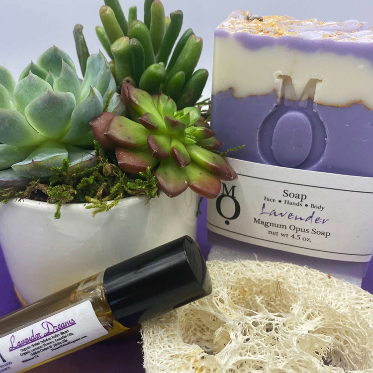 Special Occasion Succulent Gift Box | aSucca4U