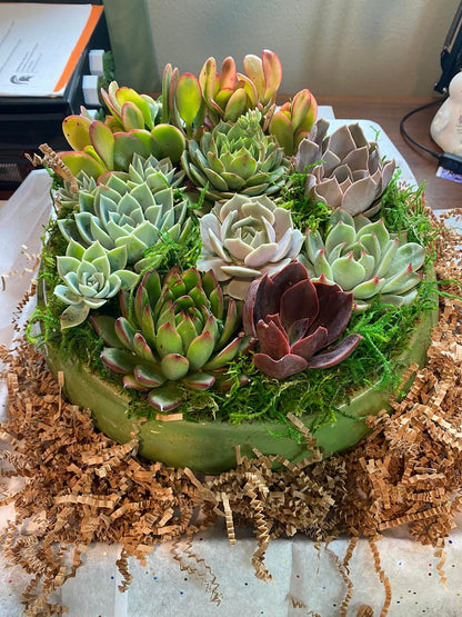 Serenity Succulent Arrangement: A Haven of Peace