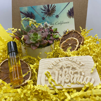 California Dreaming Succulent Gift Box Set