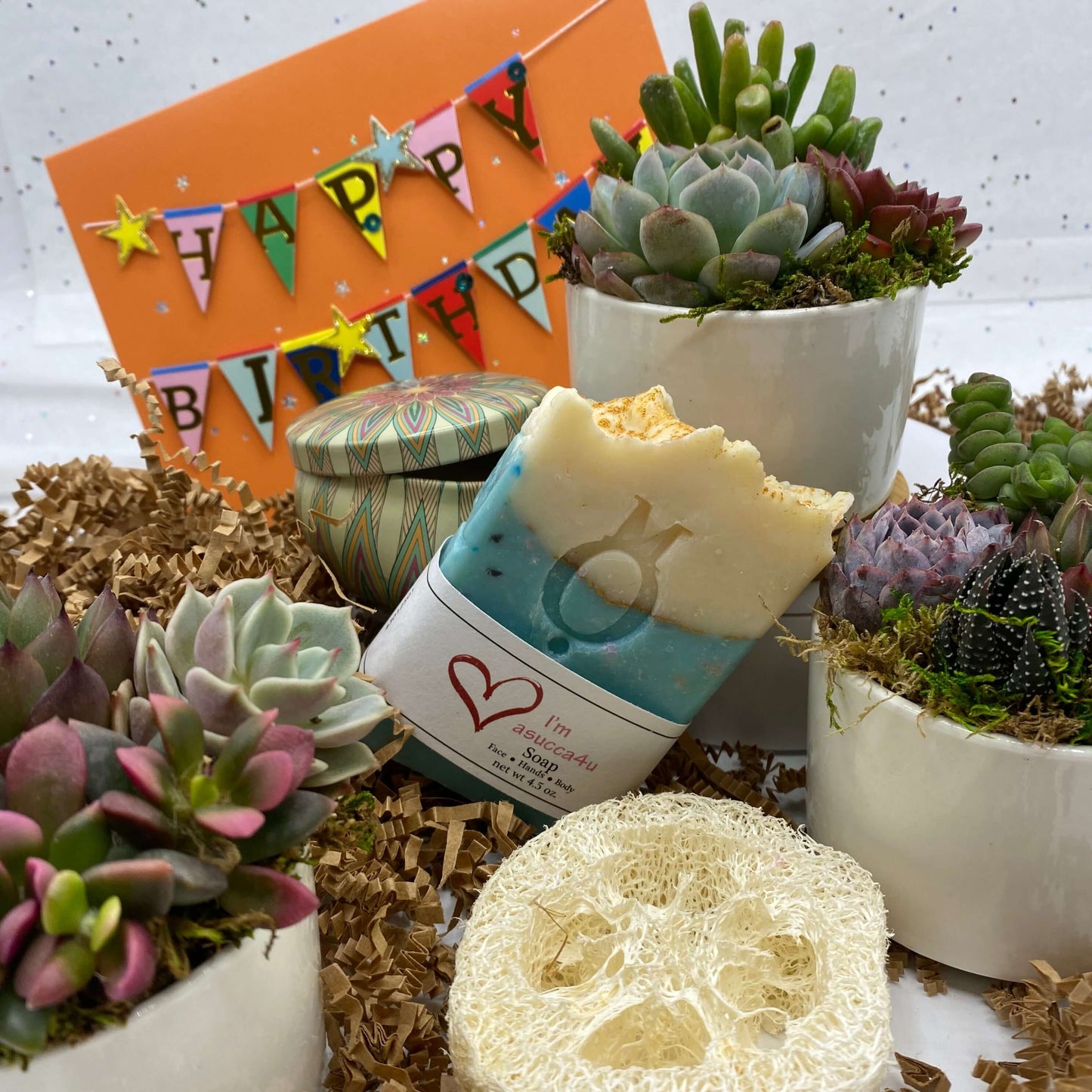 Happy Birthday Succulent Gift Box