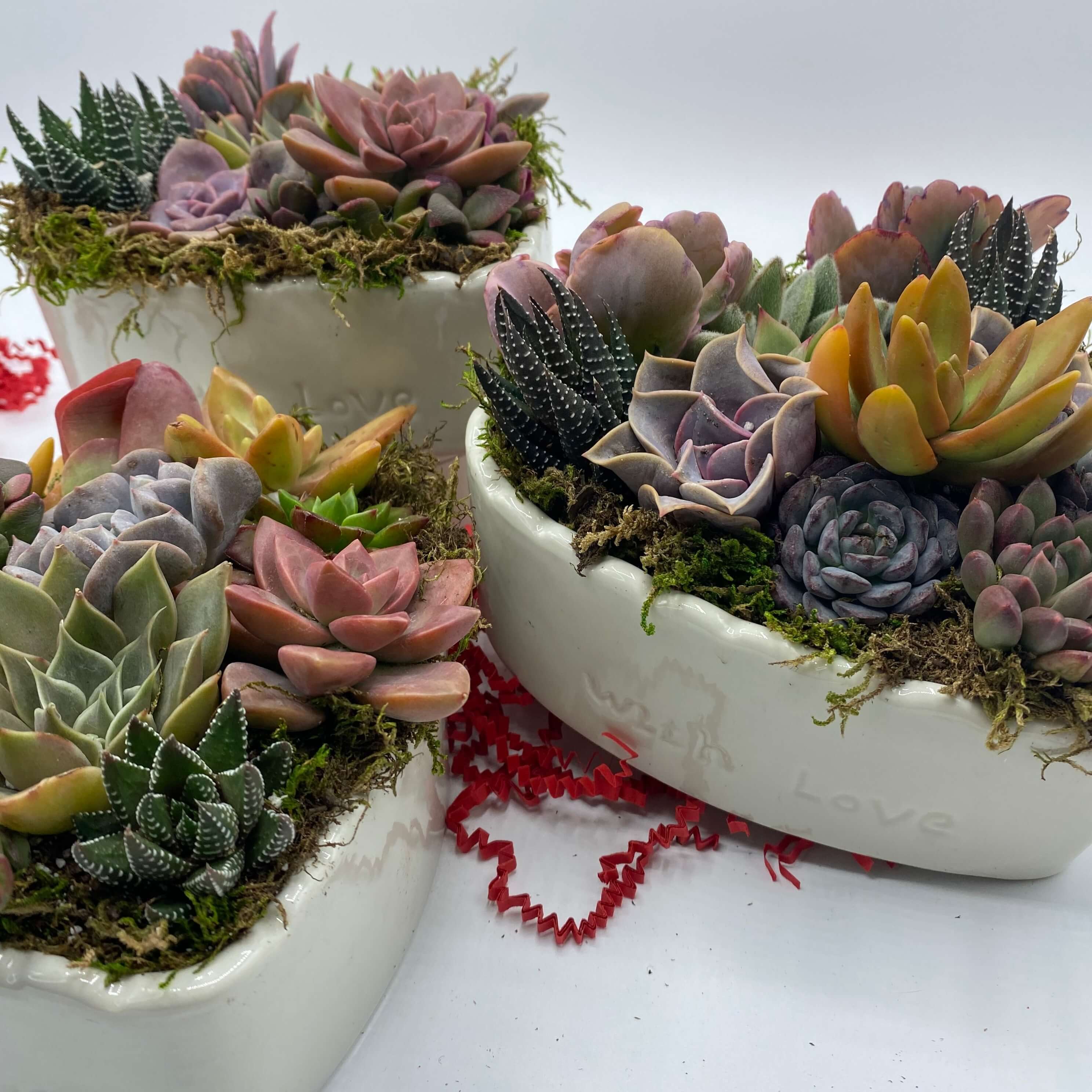 heart shaped planter for succulents Succulent Gift Boxes & Succulent Plant Arrangements
