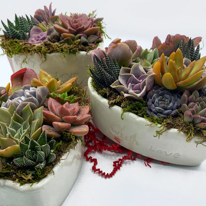succulent arrangements in pots Heart Shaped Planter Succulent Arrangement