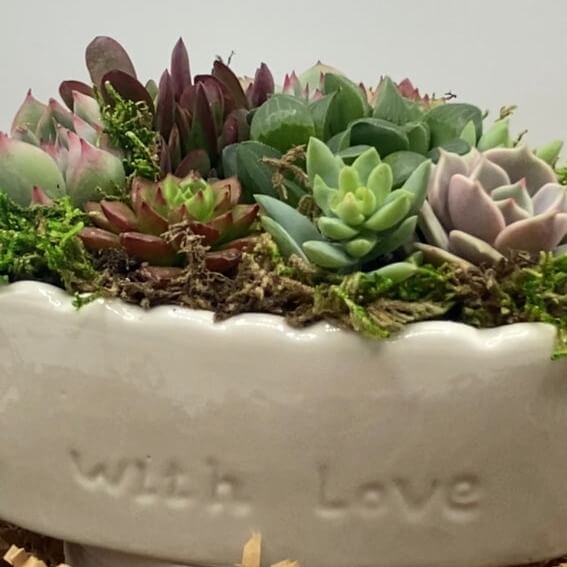 Heart Shaped Succulent Arrangement detail