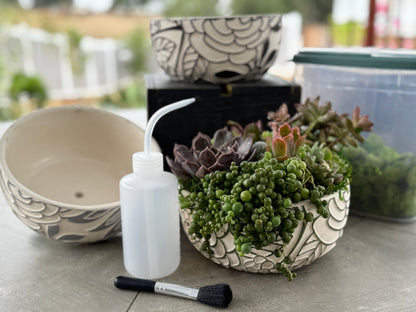 Private Succulent Arrangement Classes - Menifee, California