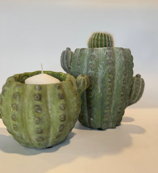 Cactus Planter & Candle Holder Gift Set