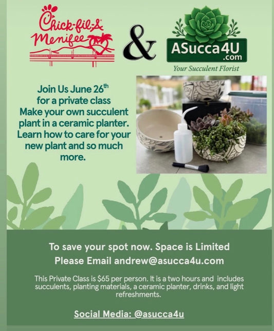 Make Your Own Succulent Arragement - Chick oil A- June 26