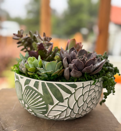 Petal & Stone Succulent Arrangement | View 1 | ASucca4U