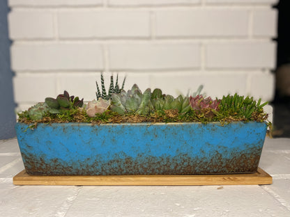 Serene Oasis Succulent Arrangement side view