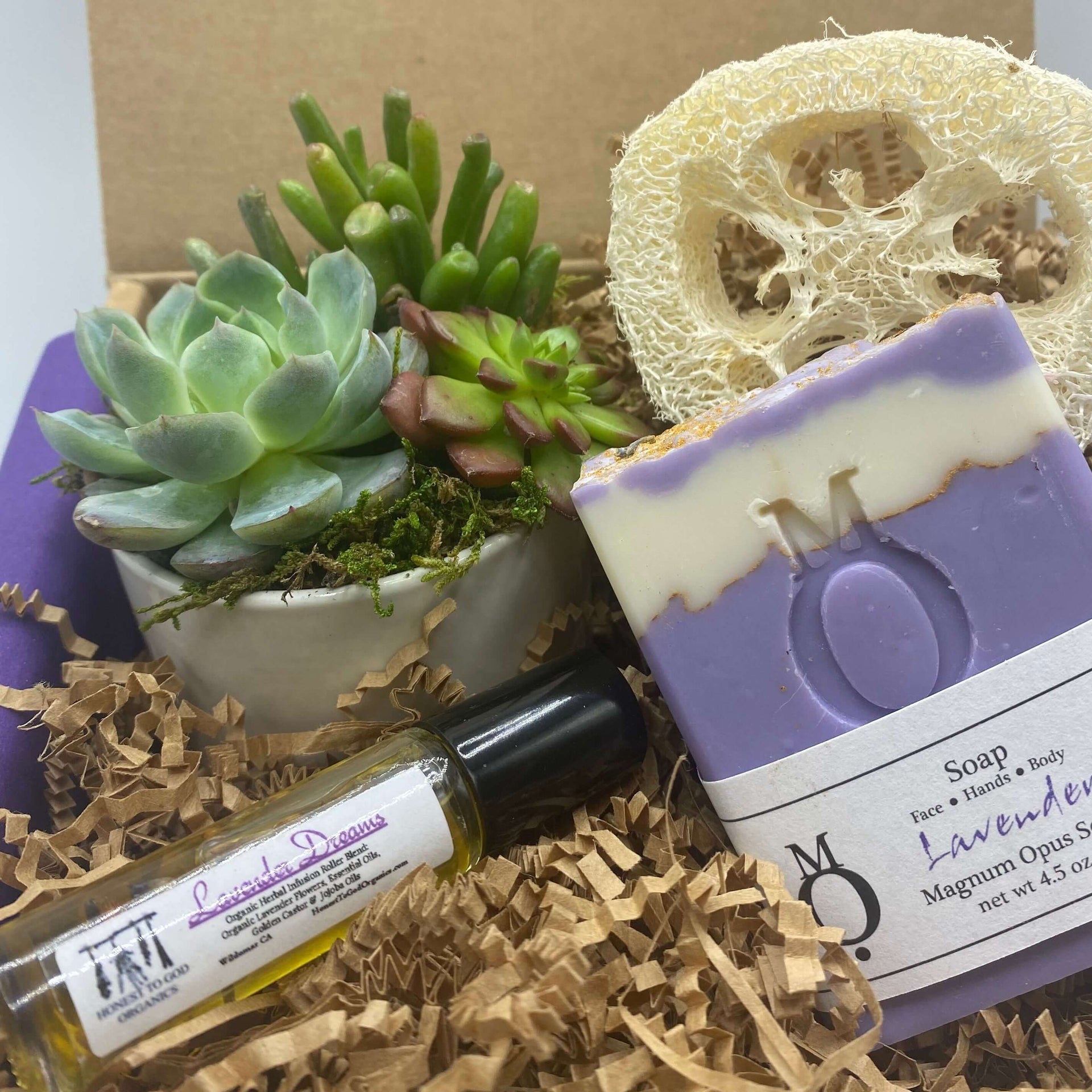 lavender succulent plant Lavender Succulent Gift Box
