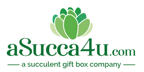 aSucca4U logo | succulent gift boxes and arrangements