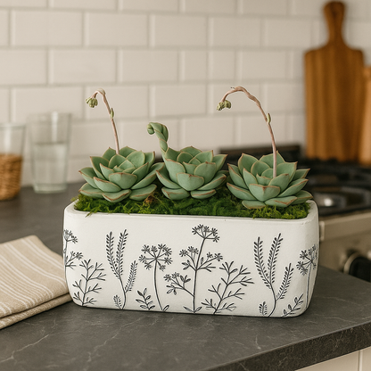 succulents in rectangular pot Desert Breeze Succulent Arrangement