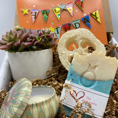 happy birthday succulent gift box