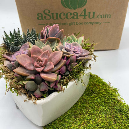 succulent heart arrangement