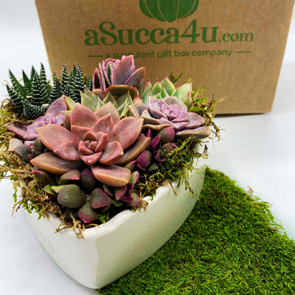 heart shape succulents Heart Shaped Planter Succulent Arrangement